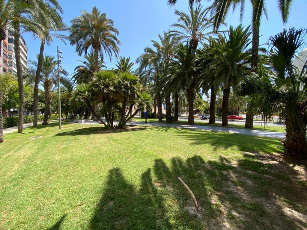 Appartement Tropical Loft à Alicante Extérieur photo
